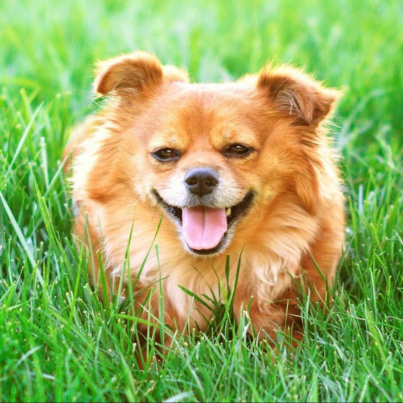 Meet your Posher, Laarni - Picture 1 of 1